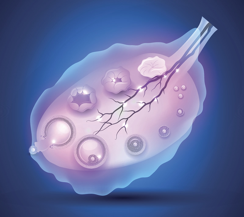 泰国做三代试管婴儿的医院排行介绍